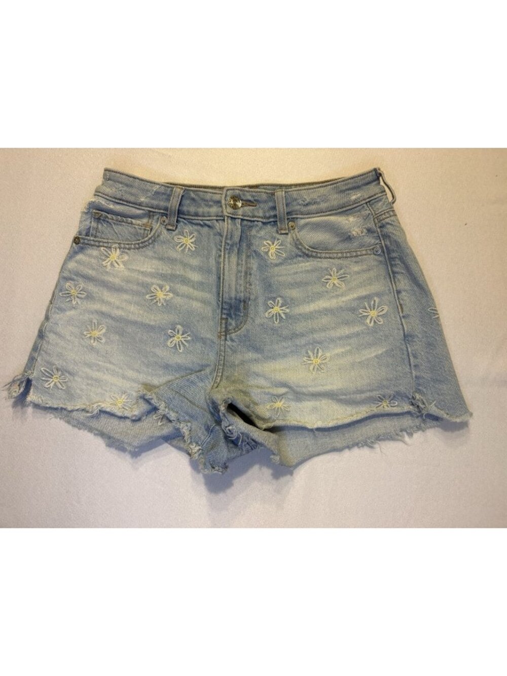 American Eagle Outfitters Blue Light Wash Floral Embroidered Shorts Size 4